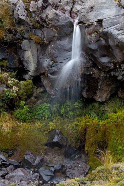 Waterfall National Park